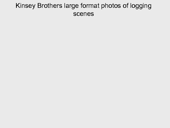 Kinsey Brothers large format photos of logging scenes 