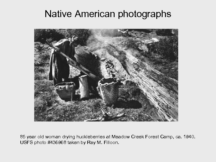 Native American photographs 85 year old woman drying huckleberries at Meadow Creek Forest Camp,