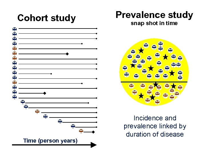 Cohort study Time (person years) Prevalence study snap shot in time Incidence and prevalence