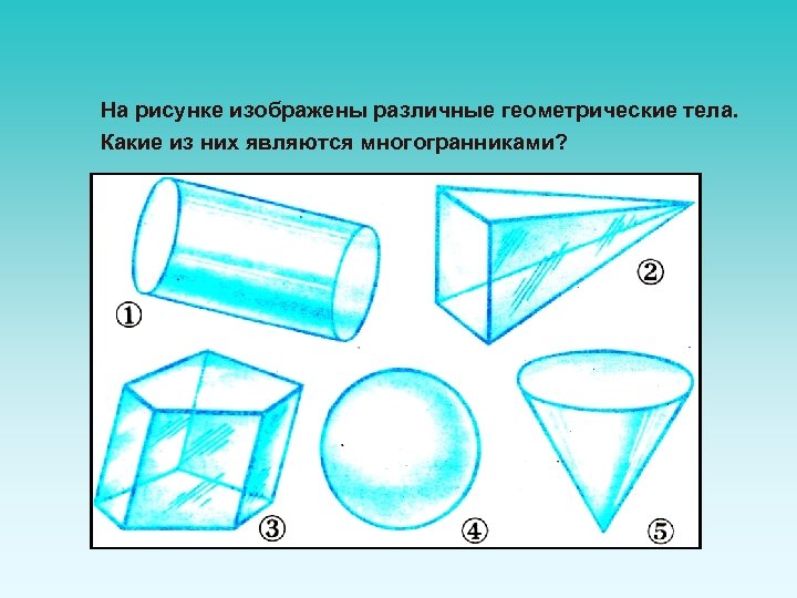 На рисунке изображены основания известных тебе геометрических тел