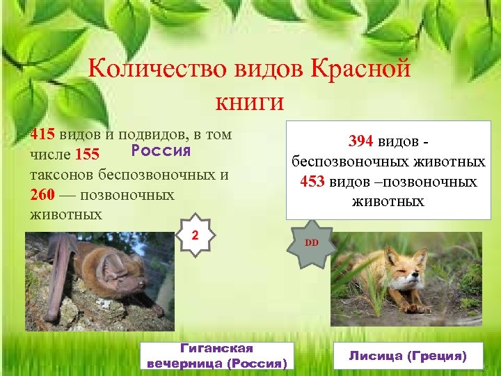 Количество видов Красной книги 415 видов и подвидов, в том Россия числе 155 таксонов