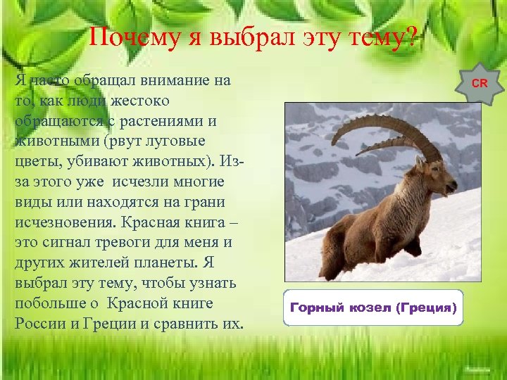 Почему я выбрал эту тему? Я часто обращал внимание на то, как люди жестоко