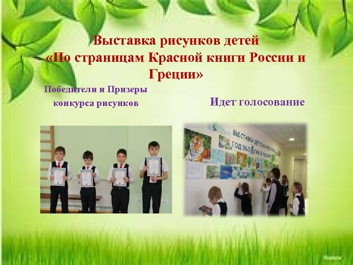 Выставка рисунков детей «По страницам Красной книги России и Греции» Победители и Призеры конкурса