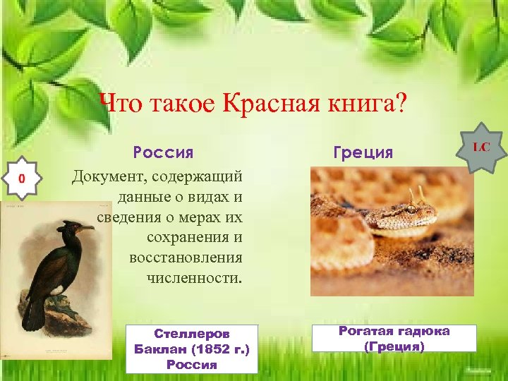 Что такое Красная книга? Россия Документ, содержащий данные о видах и сведения о мерах