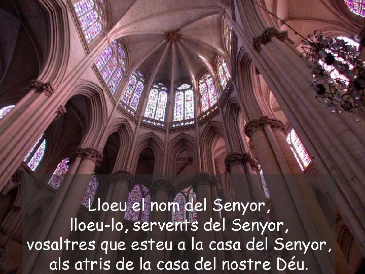 Lloeu el nom del Senyor, lloeu-lo, servents del Senyor, vosaltres que esteu a la