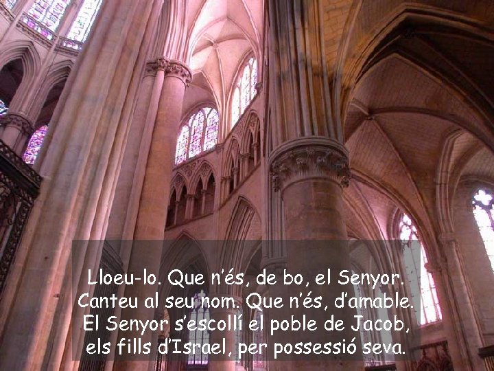 Lloeu-lo. Que n’és, de bo, el Senyor. Canteu al seu nom. Que n’és, d’amable.