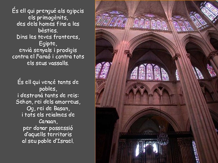 És ell qui prengué als egipcis els primogènits, des dels homes fins a les