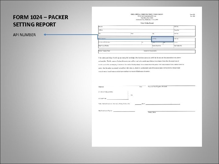 FORM 1024 – PACKER SETTING REPORT API NUMBER 