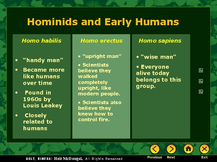 Hominids and Early Humans Homo habilis • “handy man” • Became more like humans