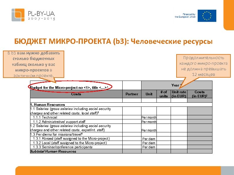 БЮДЖЕТ МИКРО-ПРОЕКТА (b 3): Человеческие ресурсы В b 3 вам нужно добавить столько бюджетных