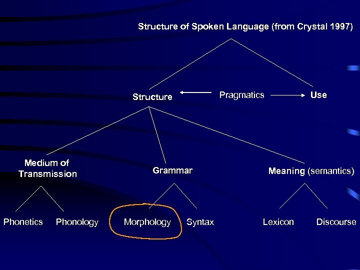 Structure of Spoken Language (from Crystal 1997) Pragmatics Structure Medium of Transmission Phonetics Phonology
