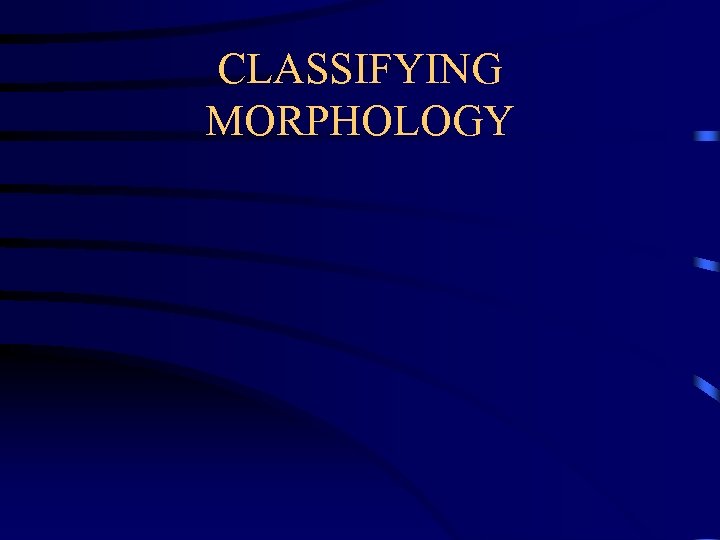 CLASSIFYING MORPHOLOGY 