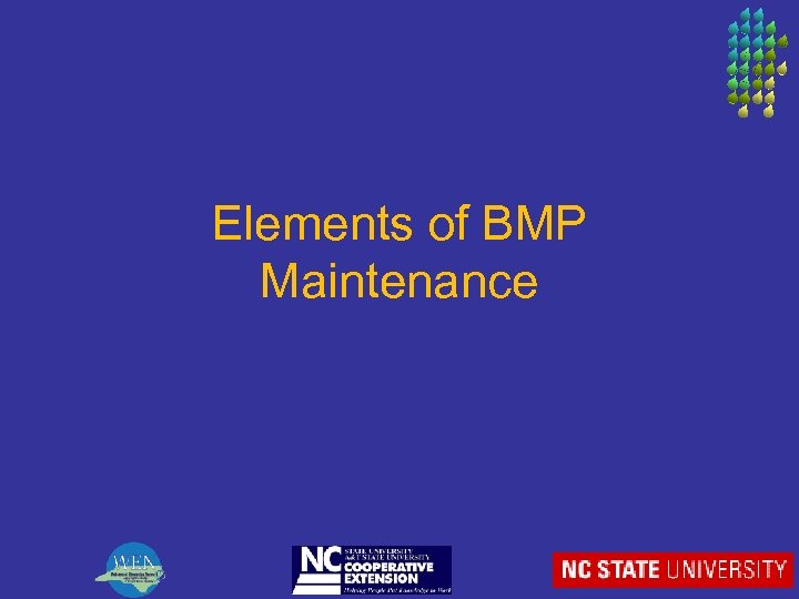 Elements of BMP Maintenance 