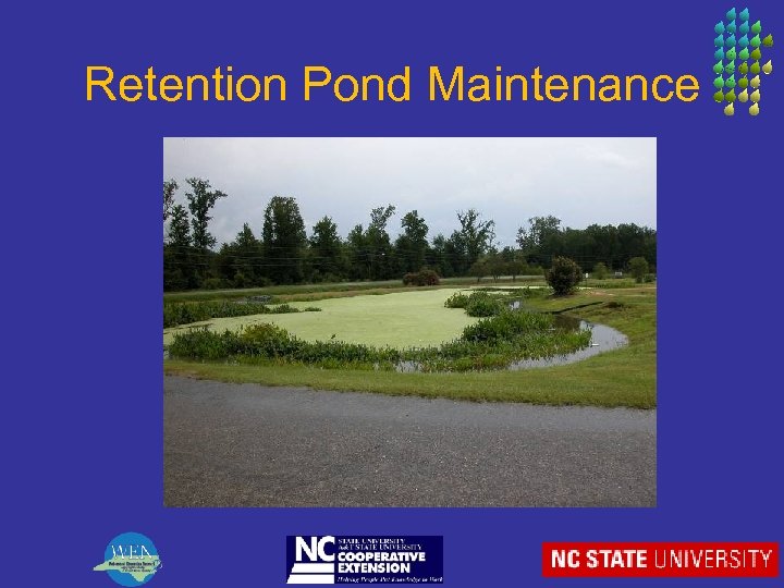 Retention Pond Maintenance 