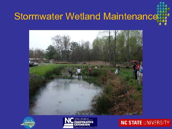 Stormwater Wetland Maintenance 