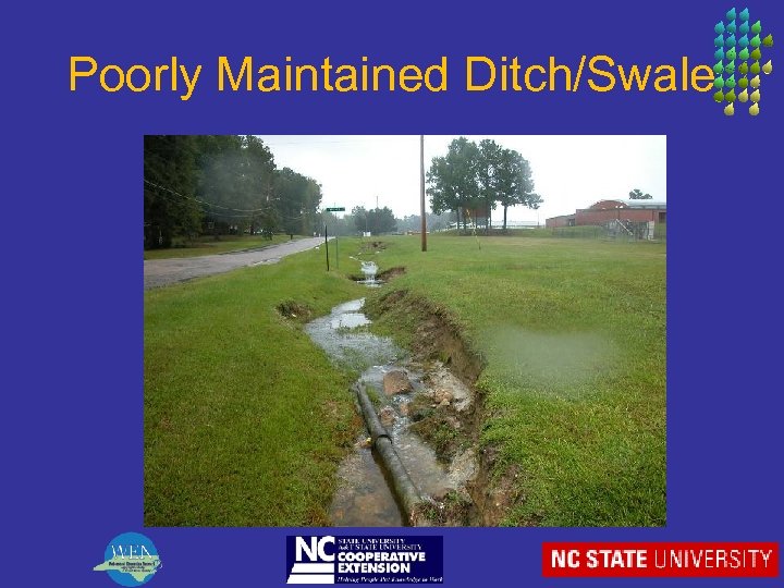 Poorly Maintained Ditch/Swale 