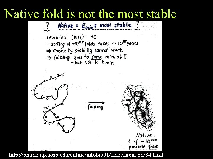 Native fold is not the most stable http: //online. itp. ucsb. edu/online/infobio 01/finkelstein/oh/34. html