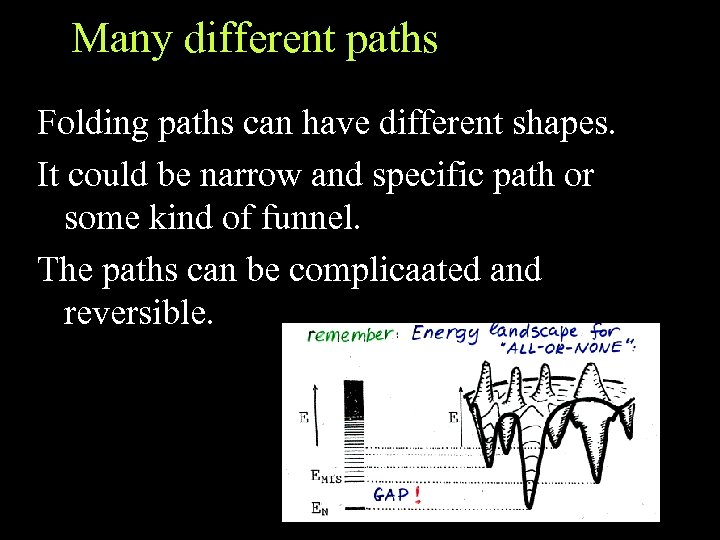 Many different paths Folding paths can have different shapes. It could be narrow and