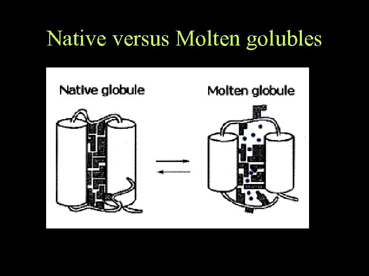 Native versus Molten golubles 