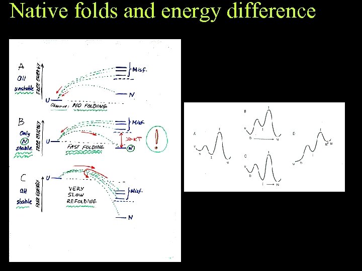Native folds and energy difference 