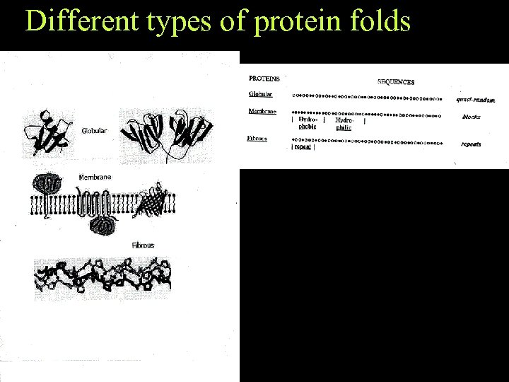 Different types of protein folds 