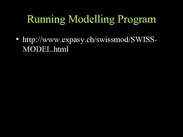 Running Modelling Program • http: //www. expasy. ch/swissmod/SWISSMODEL. html 