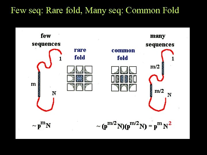Few seq: Rare fold, Many seq: Common Fold 