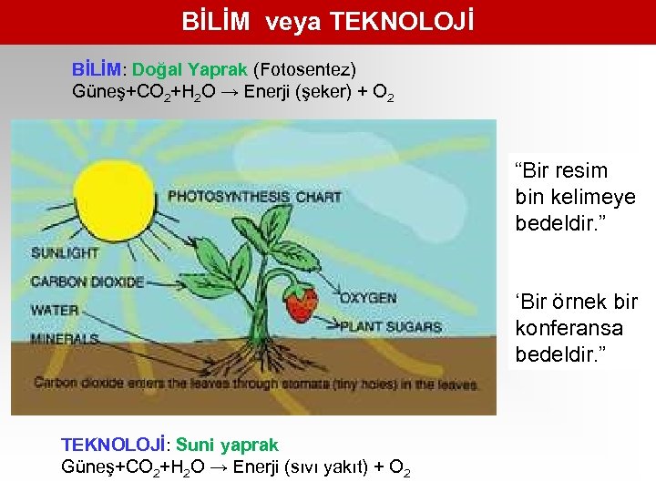 BİLİM veya TEKNOLOJİ BİLİM: Doğal Yaprak (Fotosentez) Güneş+CO 2+H 2 O → Enerji (şeker)