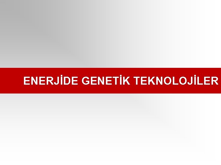 ENERJİDE GENETİK TEKNOLOJİLER 