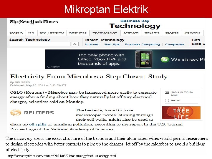 Mikroptan Elektrik The discovery about the exact structure of the bacteria and their atom-sized