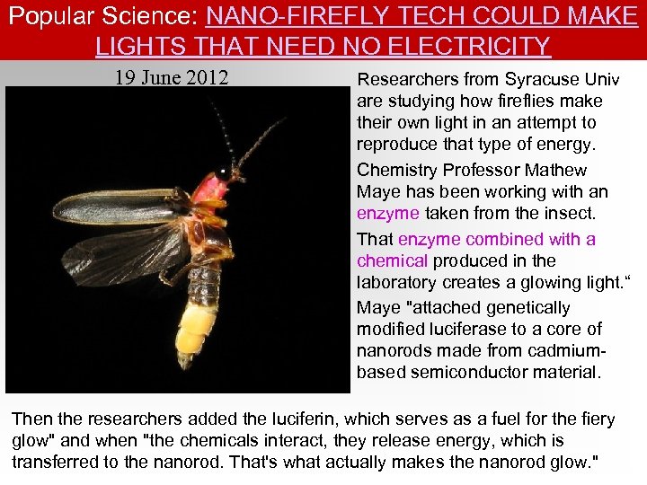 Popular Science: NANO-FIREFLY TECH COULD MAKE LIGHTS THAT NEED NO ELECTRICITY 19 June 2012