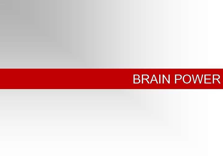 BRAIN POWER 