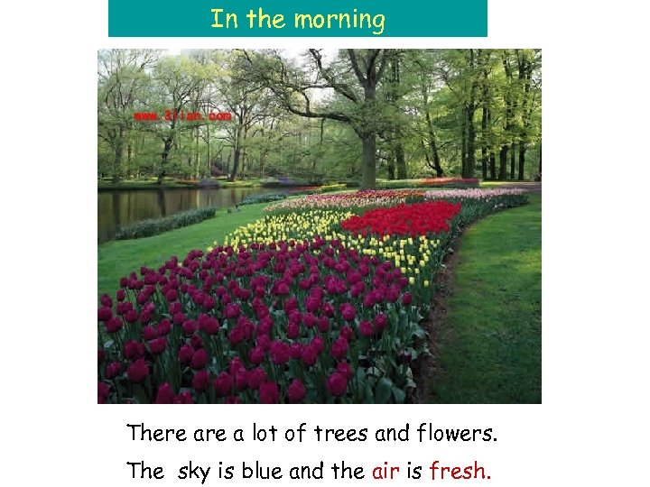 In the morning There a lot of trees and flowers. The sky is blue