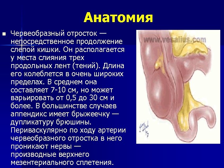 Перфорация слепой кишки что это