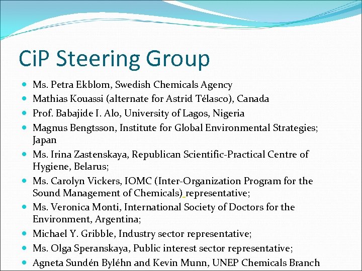 Ci. P Steering Group Ms. Petra Ekblom, Swedish Chemicals Agency Mathias Kouassi (alternate for