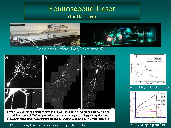 Femtosecond Laser (1 x 10 – 15 sec) Los Alamos National Labs, Los Alamos