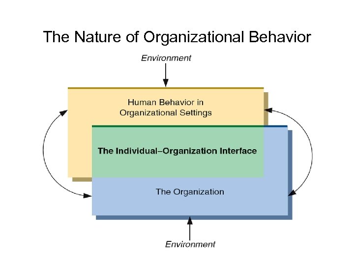 The Nature of Organizational Behavior 