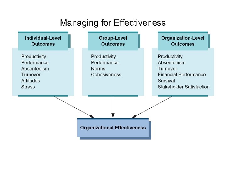 Managing for Effectiveness 