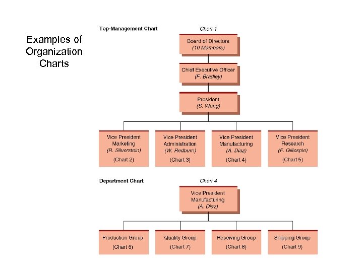 Examples of Organization Charts 