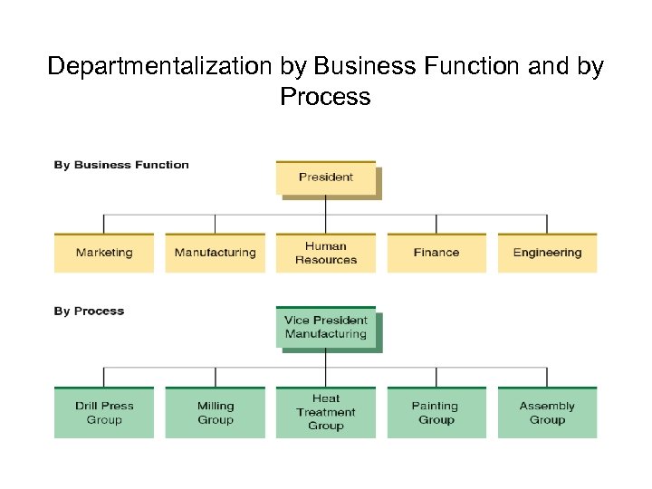 Departmentalization by Business Function and by Process 