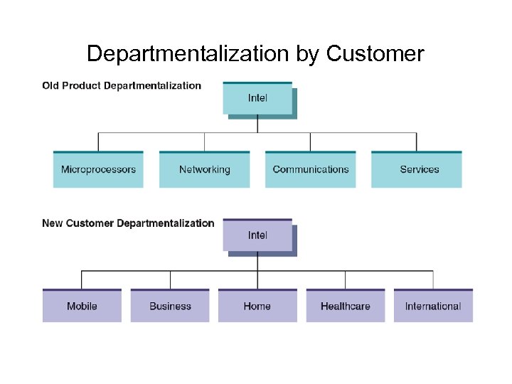 Departmentalization by Customer 