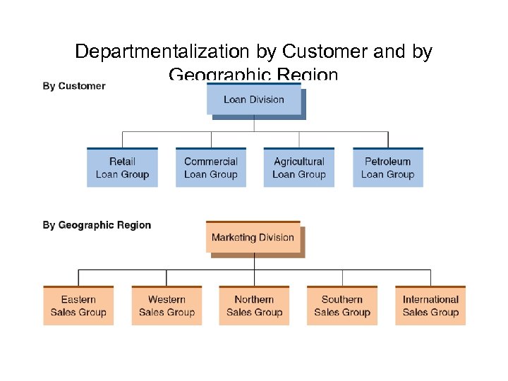 Departmentalization by Customer and by Geographic Region 