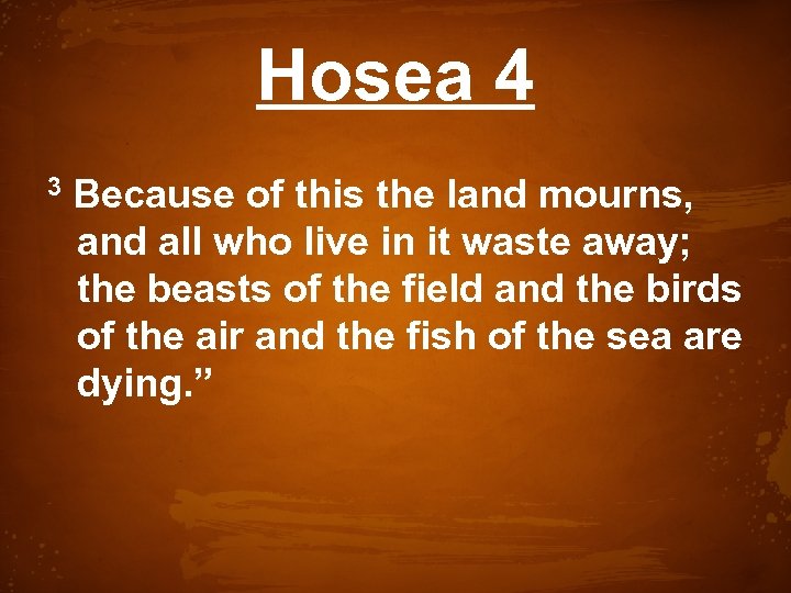 Hosea 4 3 Because of this the land mourns, and all who live in