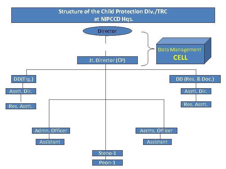 Structure of the Child Protection Div. /TRC at NIPCCD Hqs. Director Data Management CELL