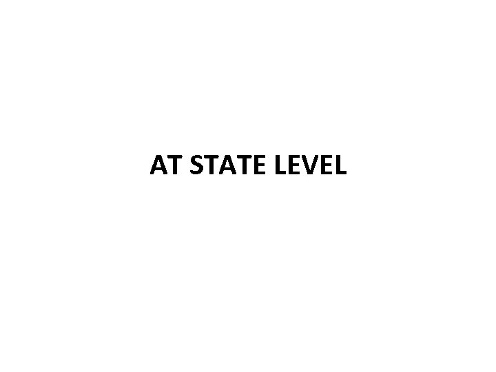 AT STATE LEVEL 