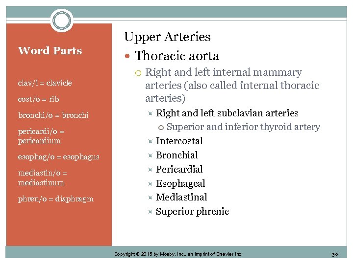 Word Parts Upper Arteries Thoracic aorta cost/o = rib Right and left internal mammary