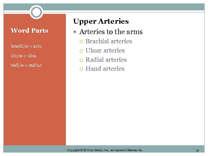 Word Parts brachi/o = arm uln/o = ulna radi/o = radius Upper Arteries to