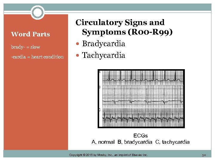 Word Parts brady- = slow -cardia = heart condition Circulatory Signs and Symptoms (R