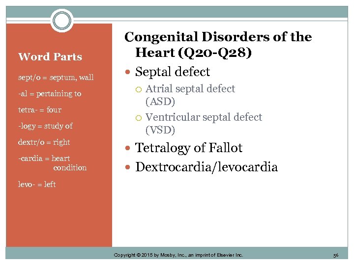 Word Parts sept/o = septum, wall -al = pertaining to tetra- = four -logy