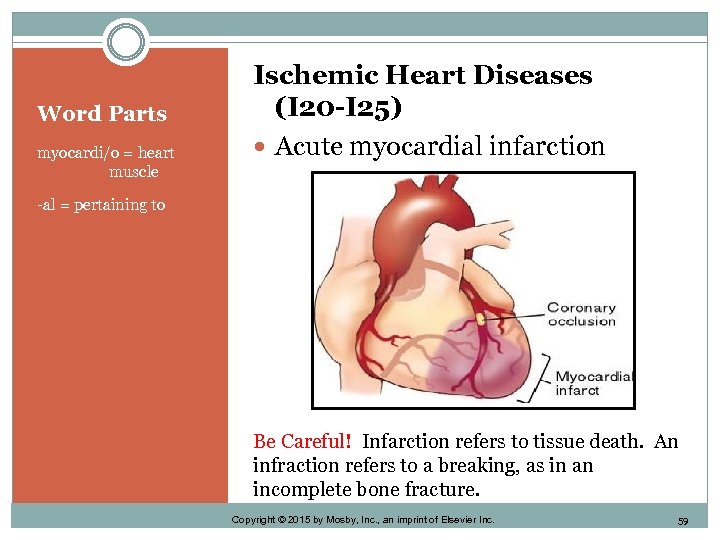 Word Parts myocardi/o = heart muscle Ischemic Heart Diseases (I 20 -I 25) Acute